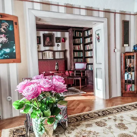 Divna Pani Luxury Gallery Hotel 5*